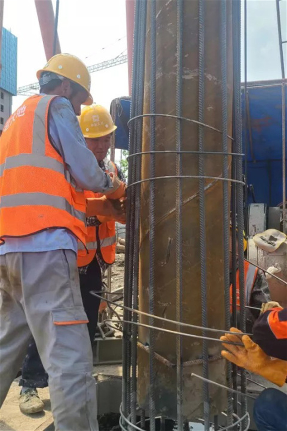 c2e6ea1e-7295-40d8-9303-e3a3655d4d4f 13.jpg